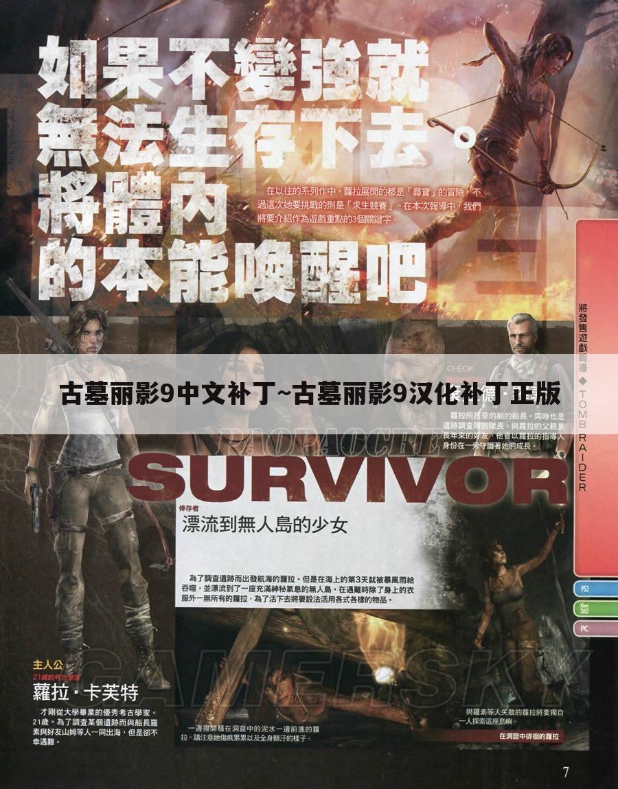古墓丽影9中文补丁~古墓丽影9汉化补丁正版