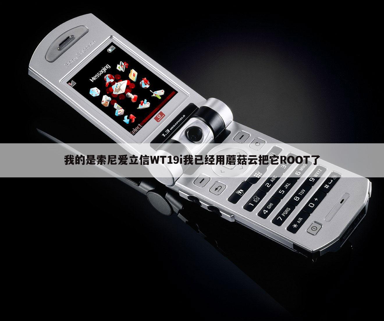 我的是索尼爱立信WT19i我已经用蘑菇云把它ROOT了