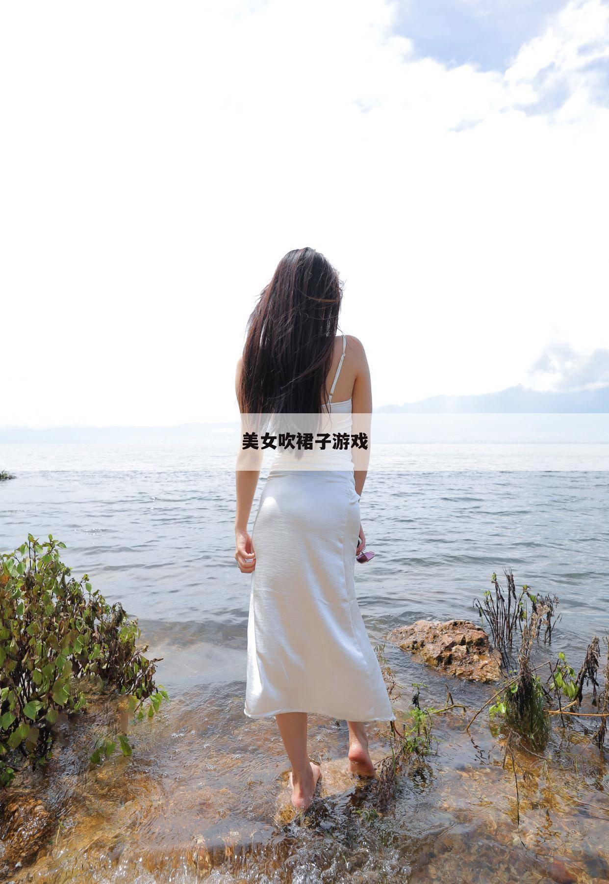美女吹裙子游戏