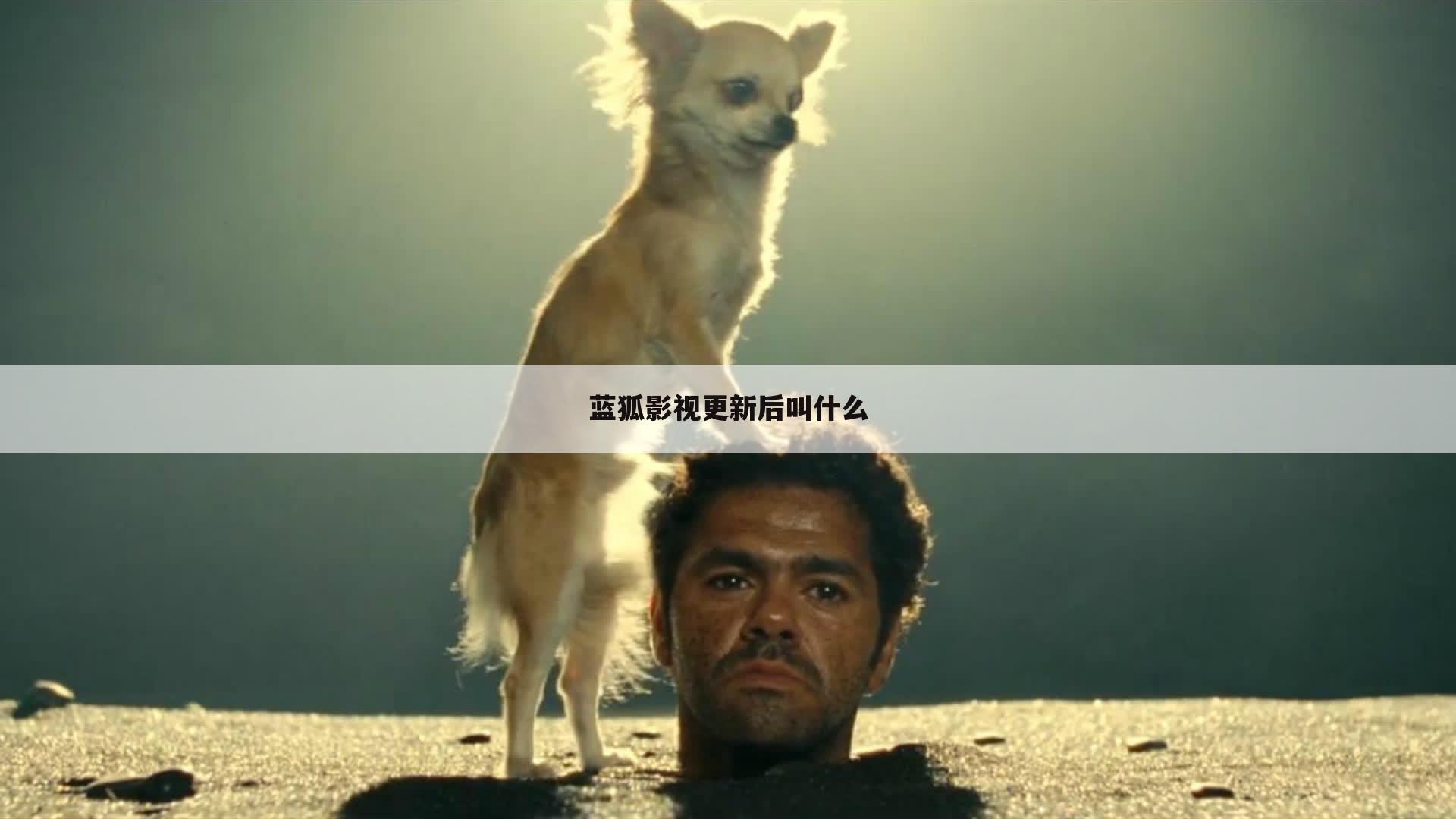 蓝狐影视更新后叫什么