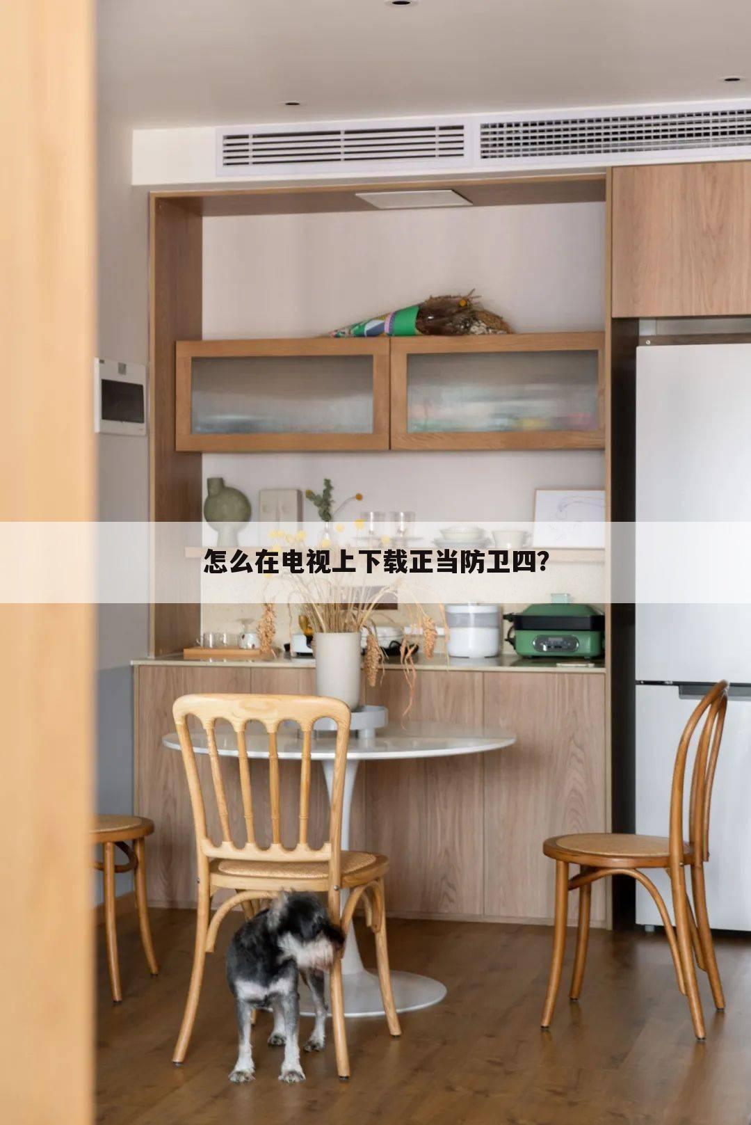 怎么在电视上下载正当防卫四？