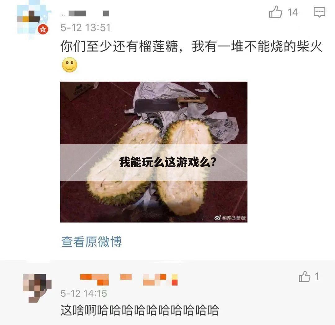 我能玩么这游戏么?