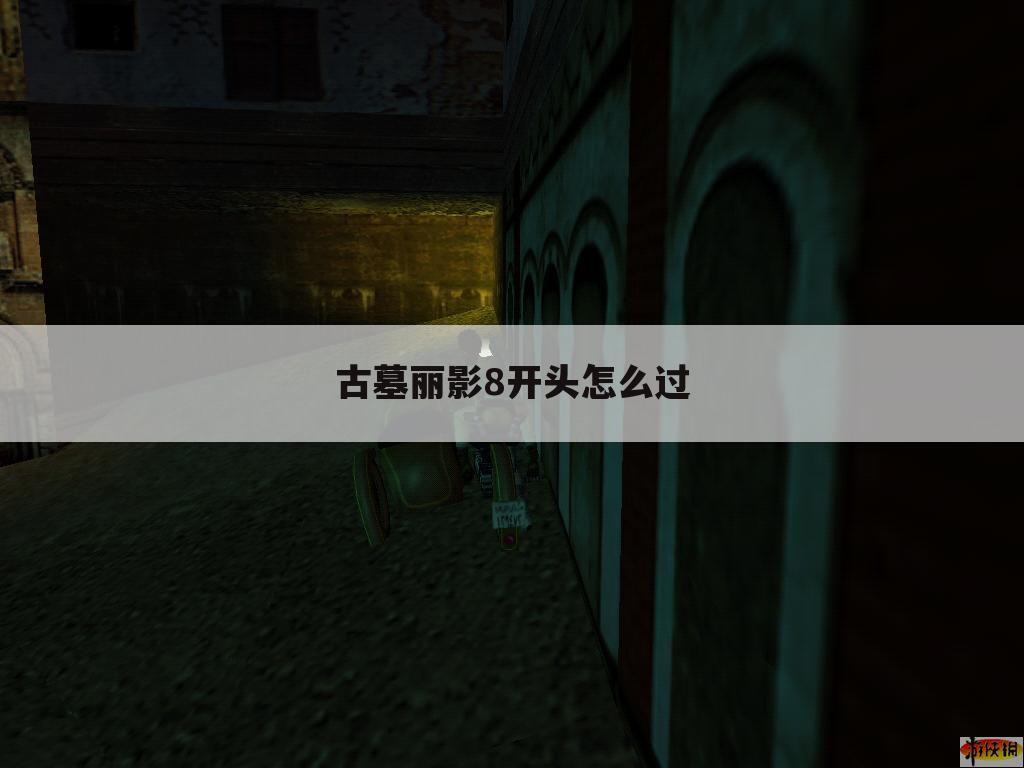 古墓丽影8开头怎么过