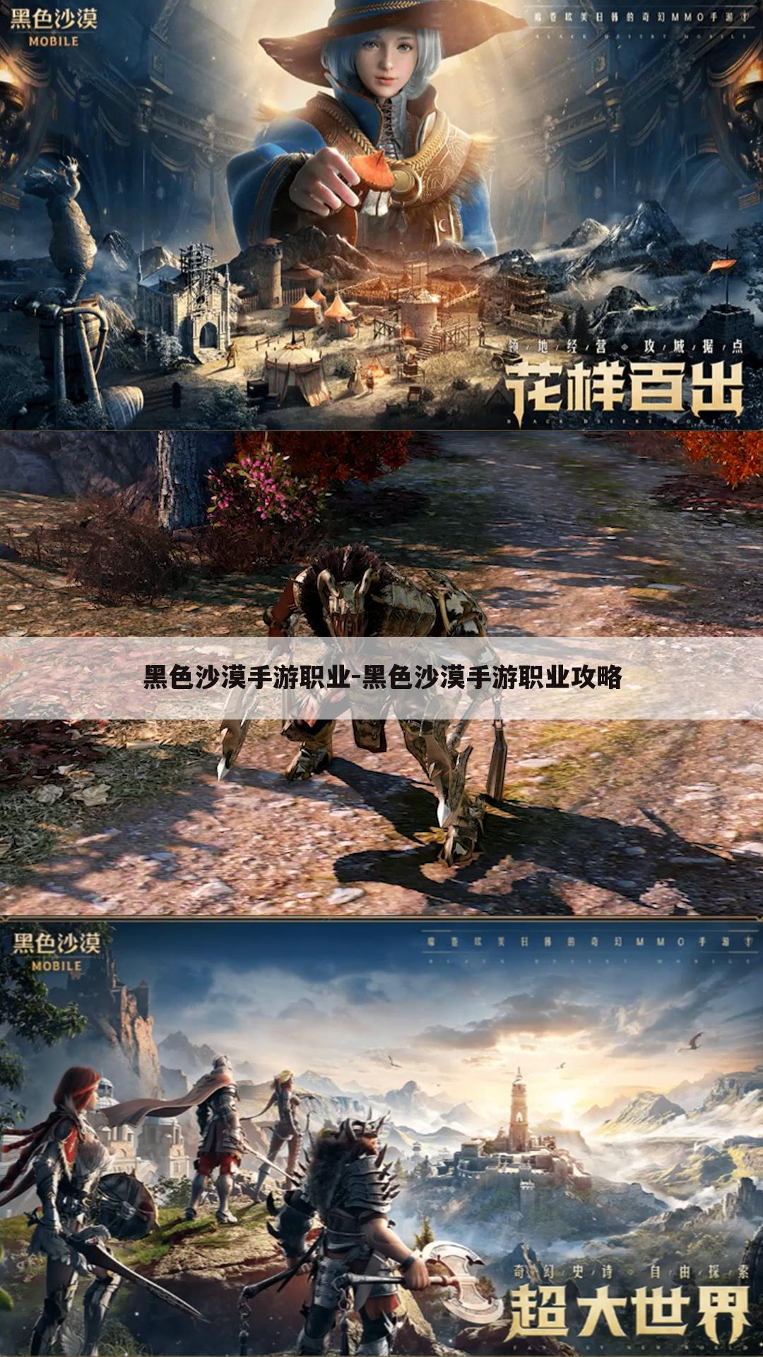 黑色沙漠手游职业-黑色沙漠手游职业攻略