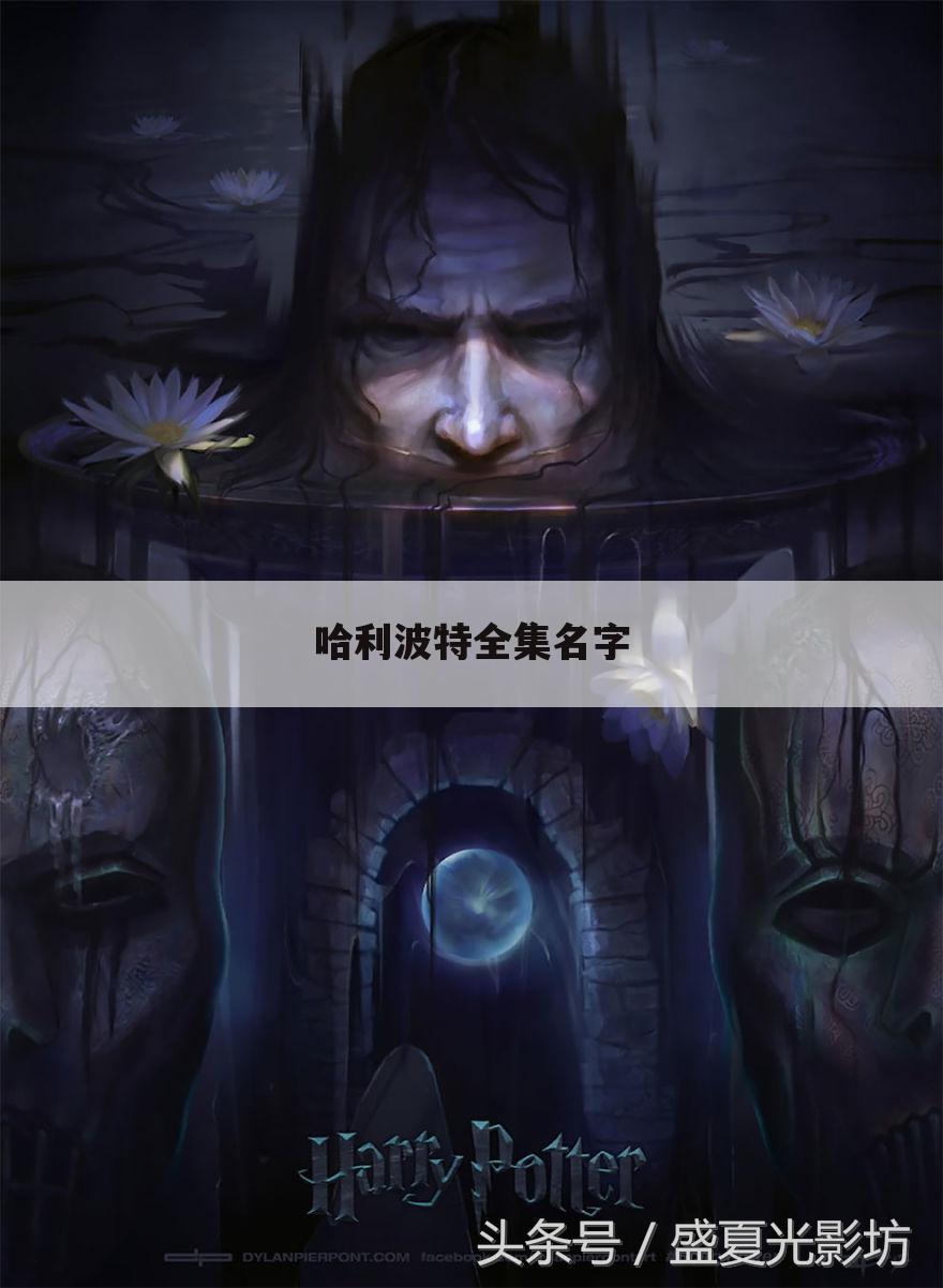 哈利波特全集名字