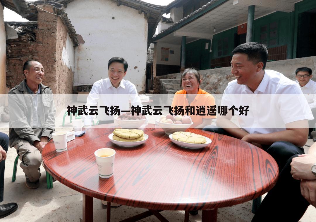 神武云飞扬—神武云飞扬和逍遥哪个好