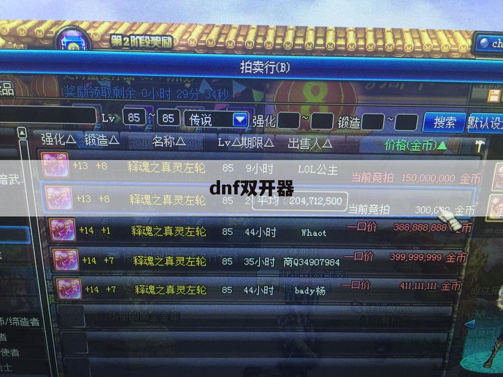 dnf双开器