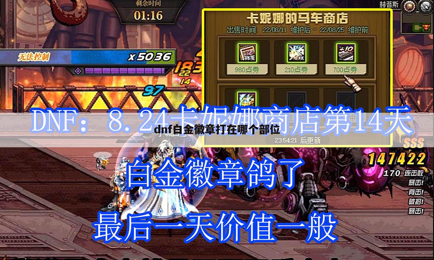 dnf白金徽章打在哪个部位