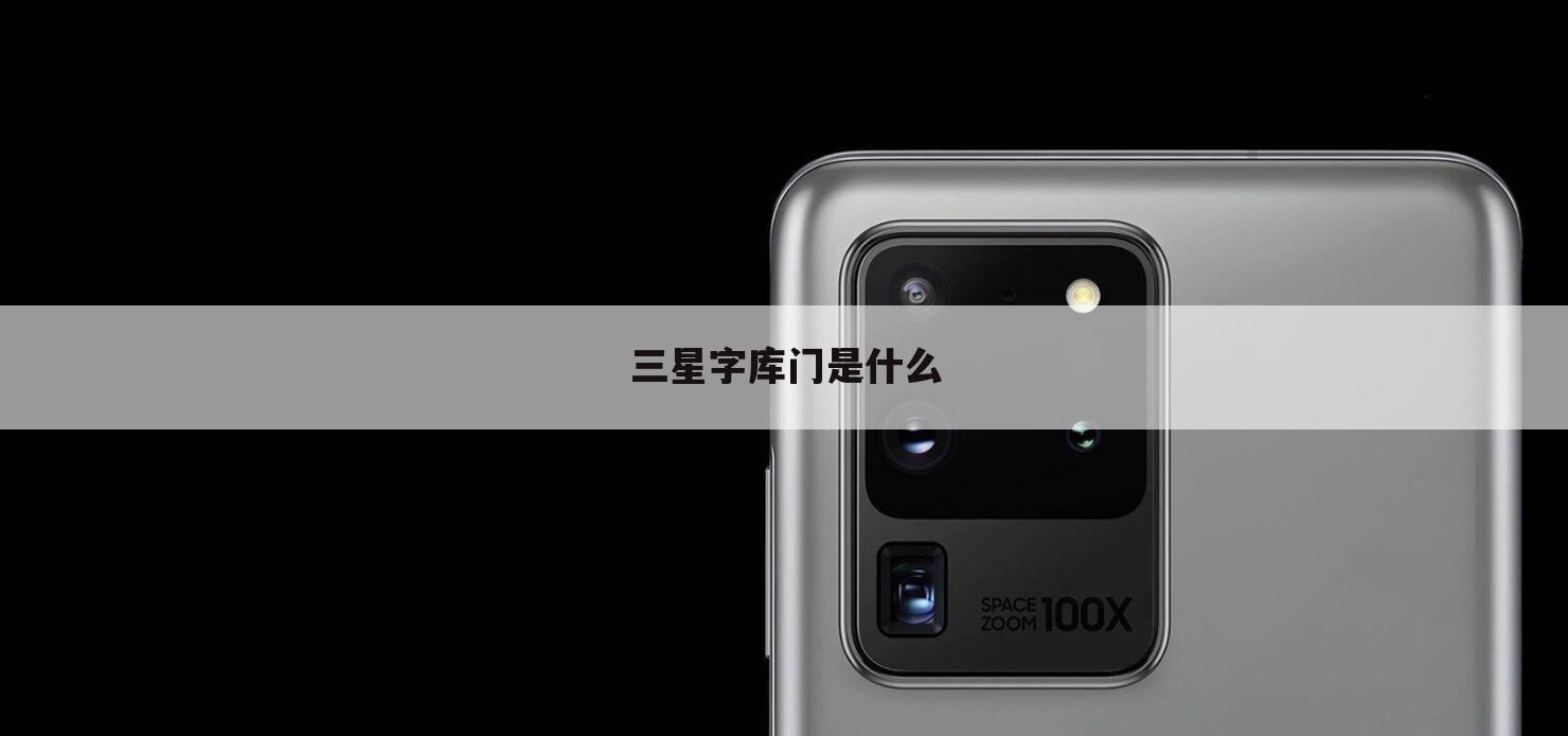 三星字库门是什么