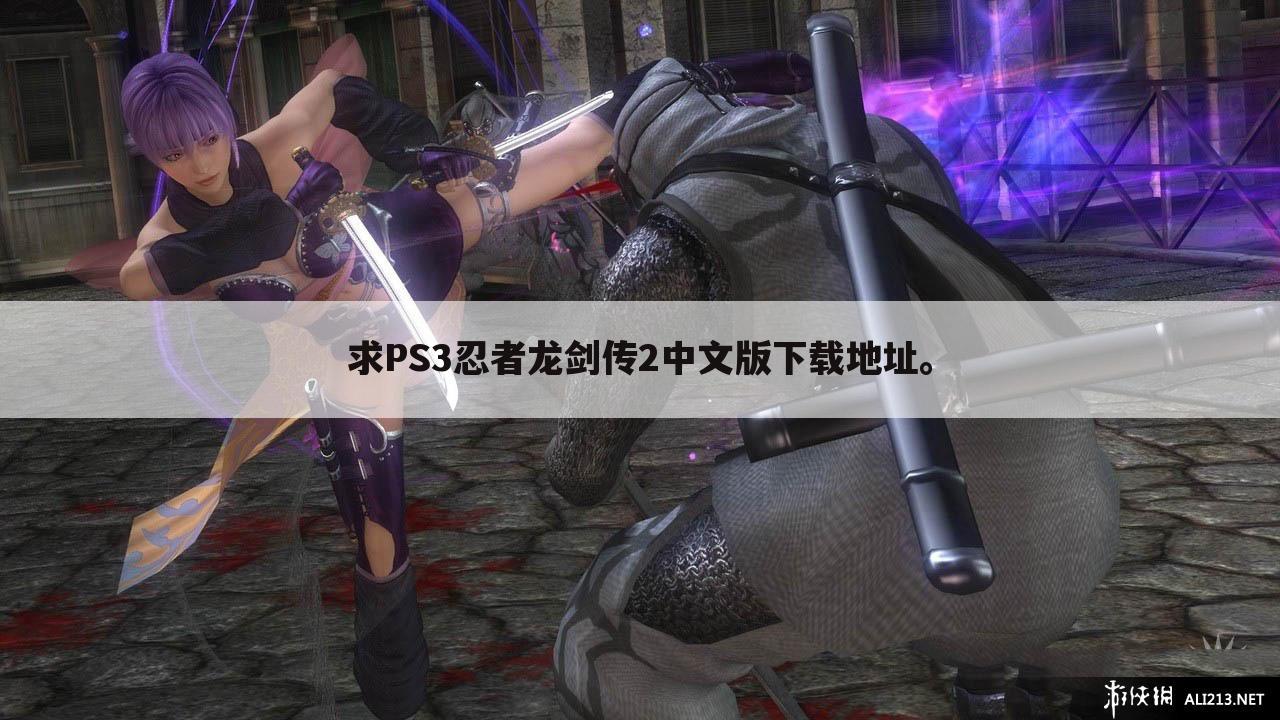 求PS3忍者龙剑传2中文版下载地址。
