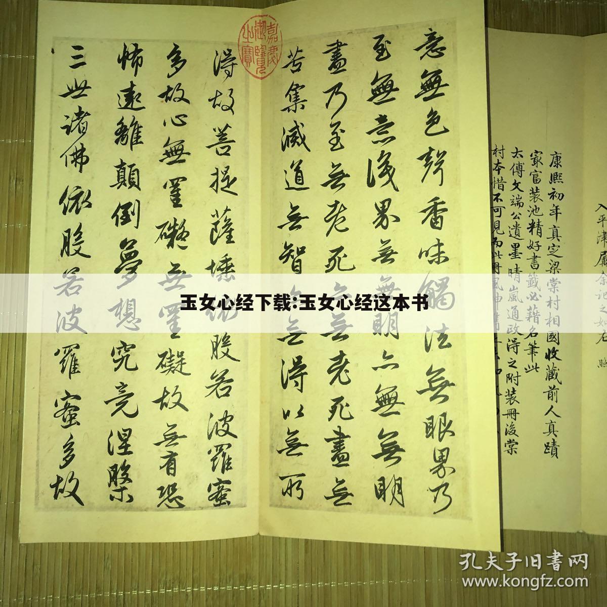 玉女心经下载:玉女心经这本书