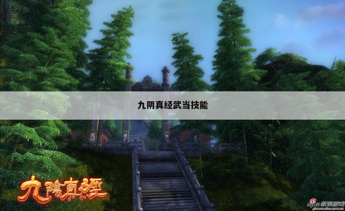 九阴真经武当技能