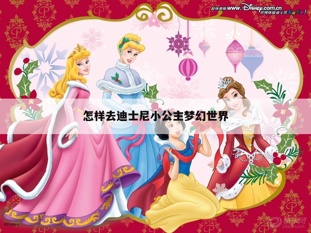 怎样去迪士尼小公主梦幻世界