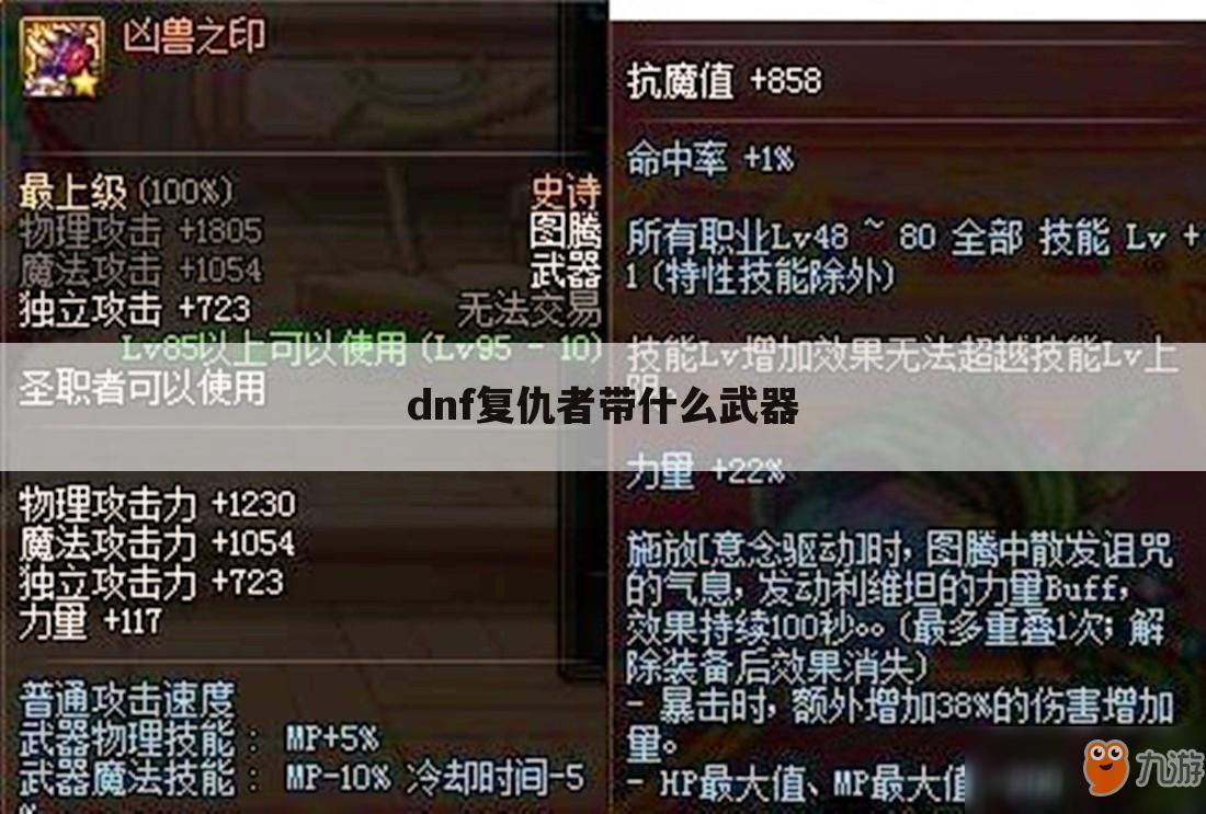 dnf复仇者带什么武器
