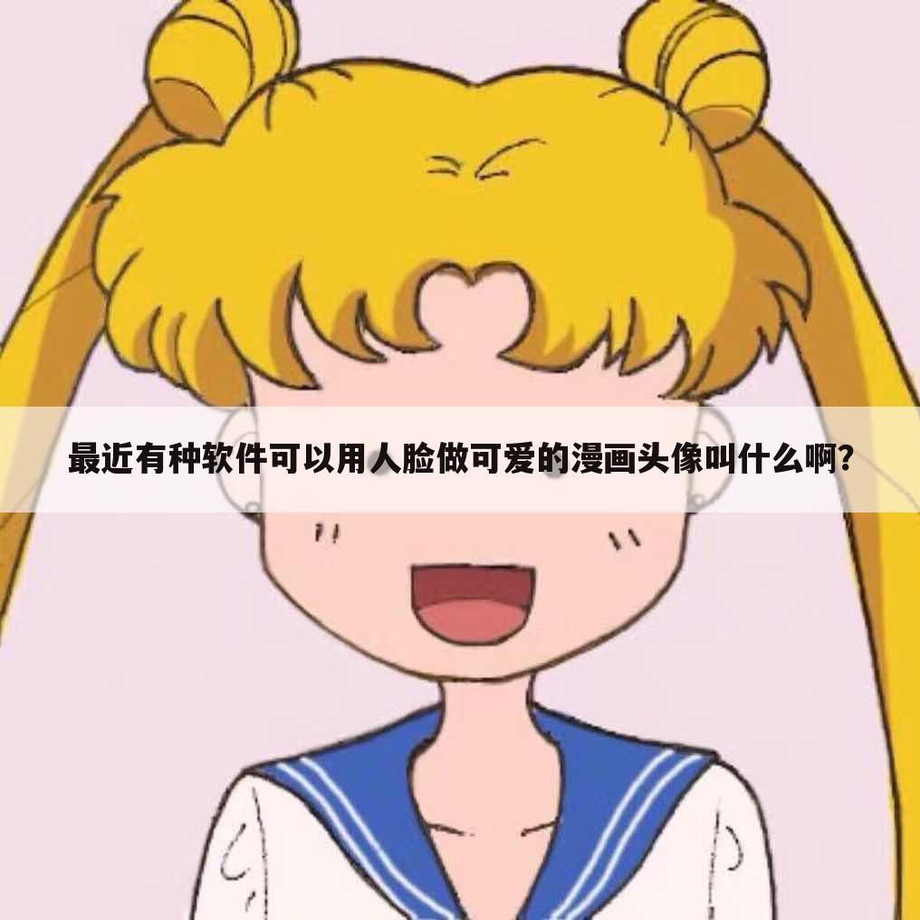 最近有种软件可以用人脸做可爱的漫画头像叫什么啊?