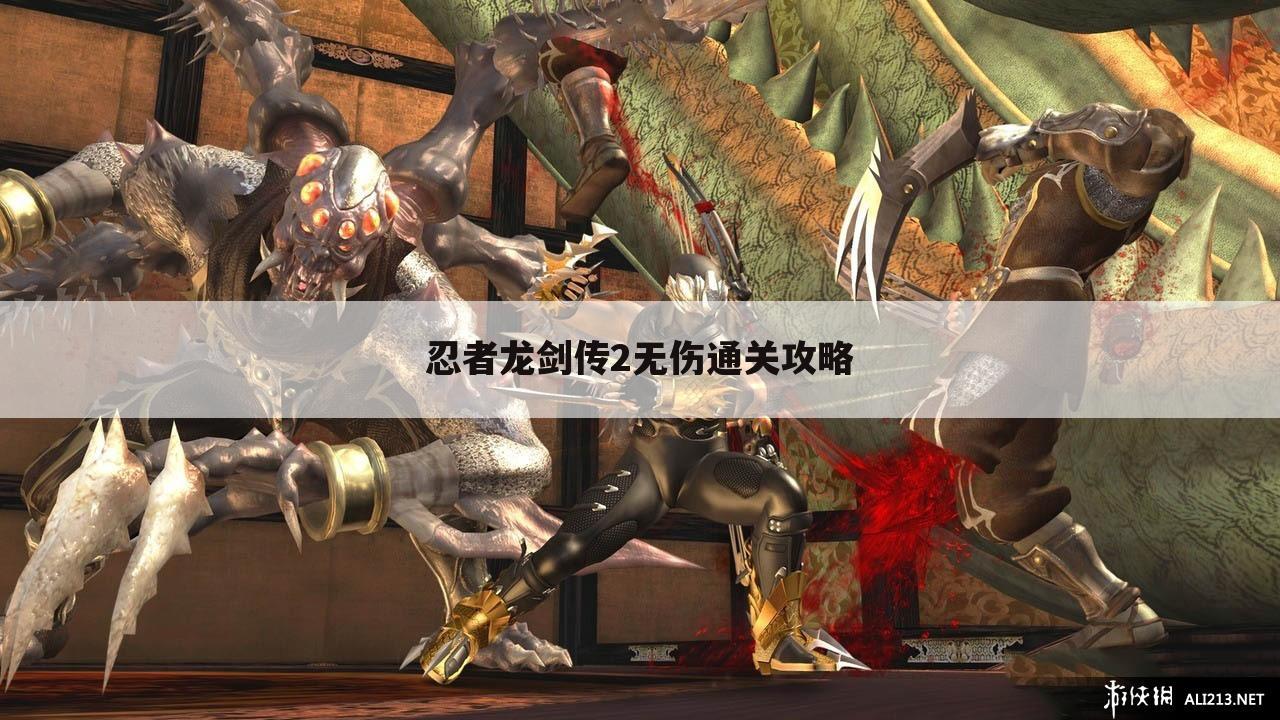 忍者龙剑传2无伤通关攻略