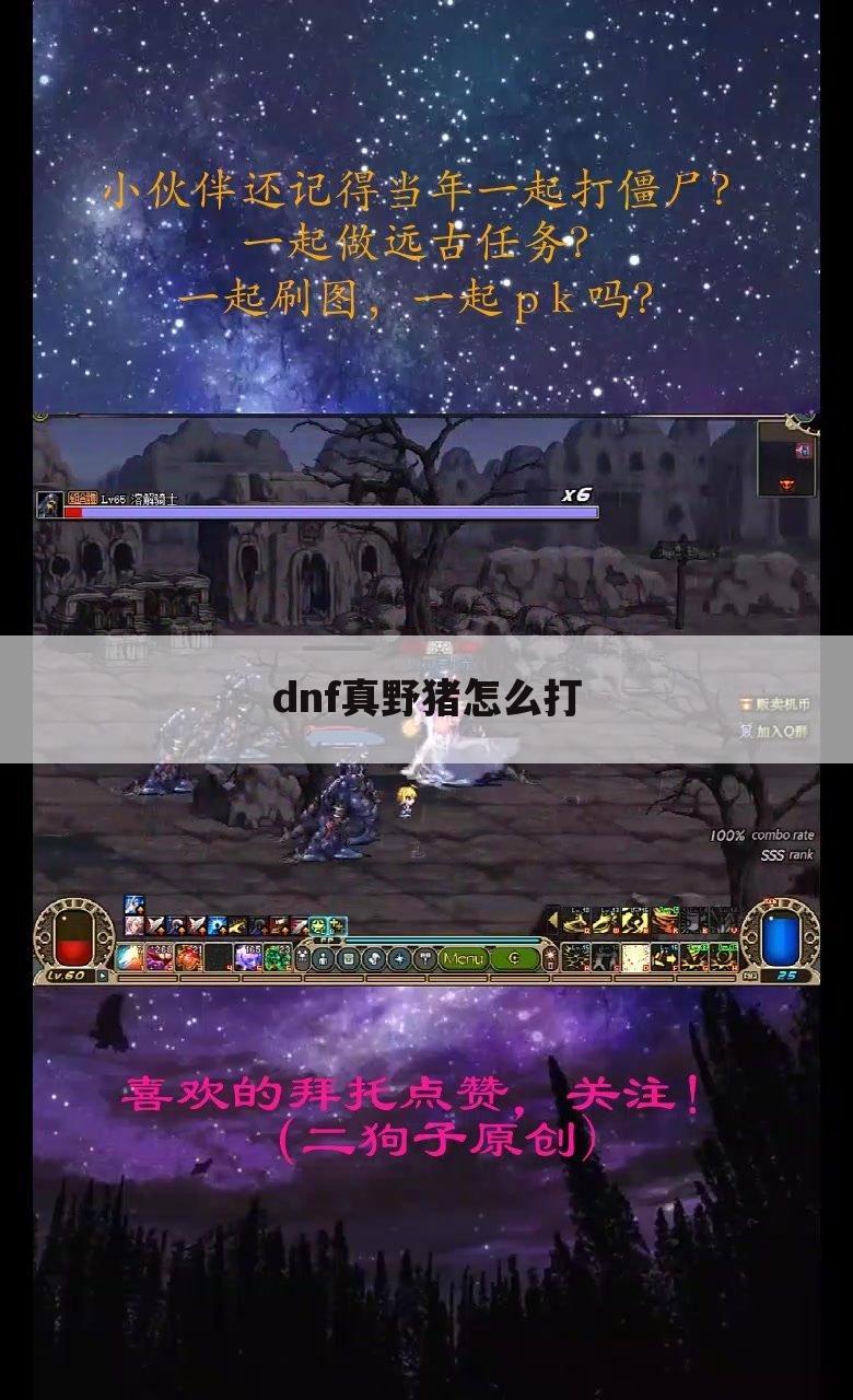 dnf真野猪怎么打