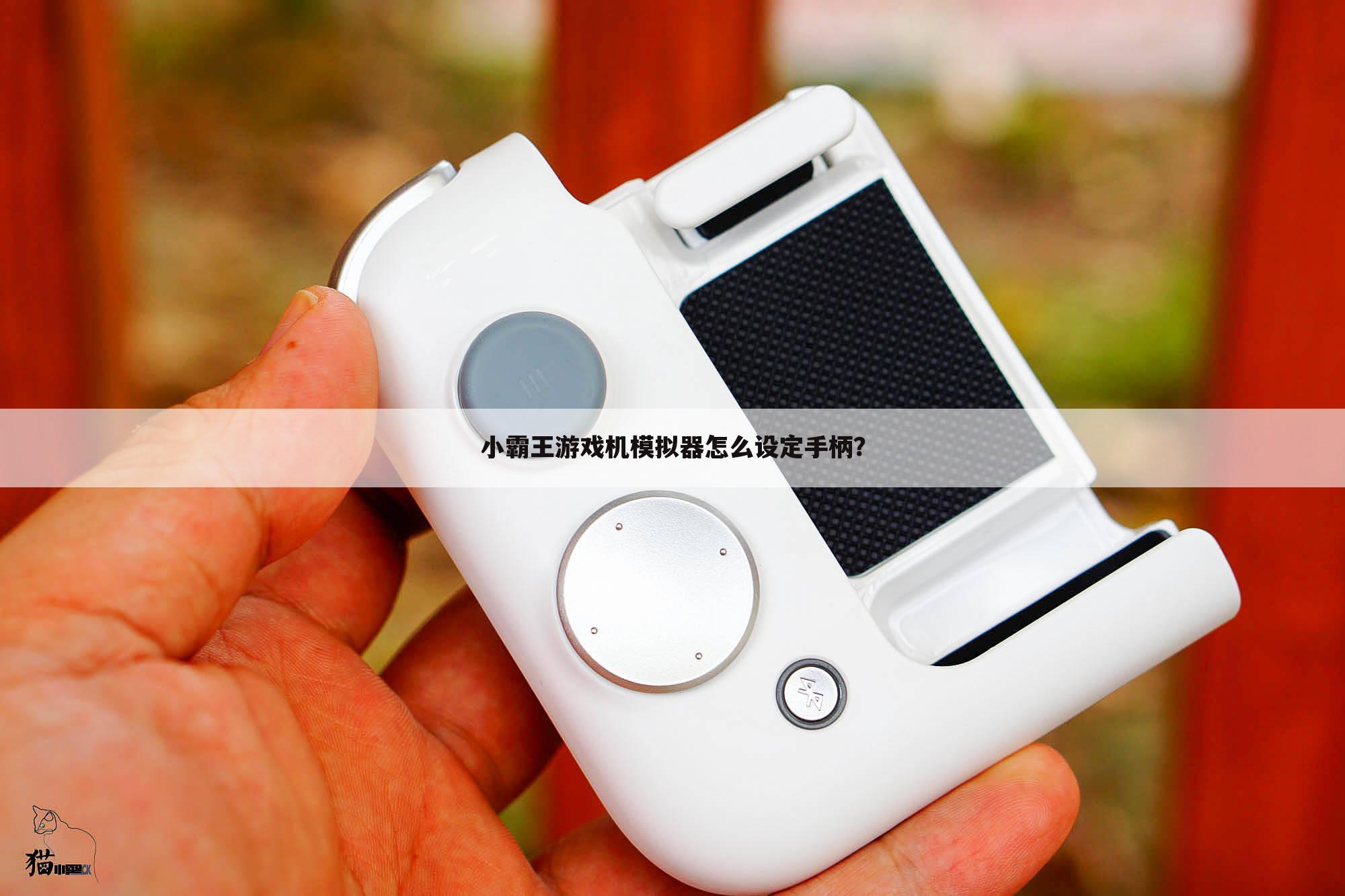 小霸王游戏机模拟器怎么设定手柄？