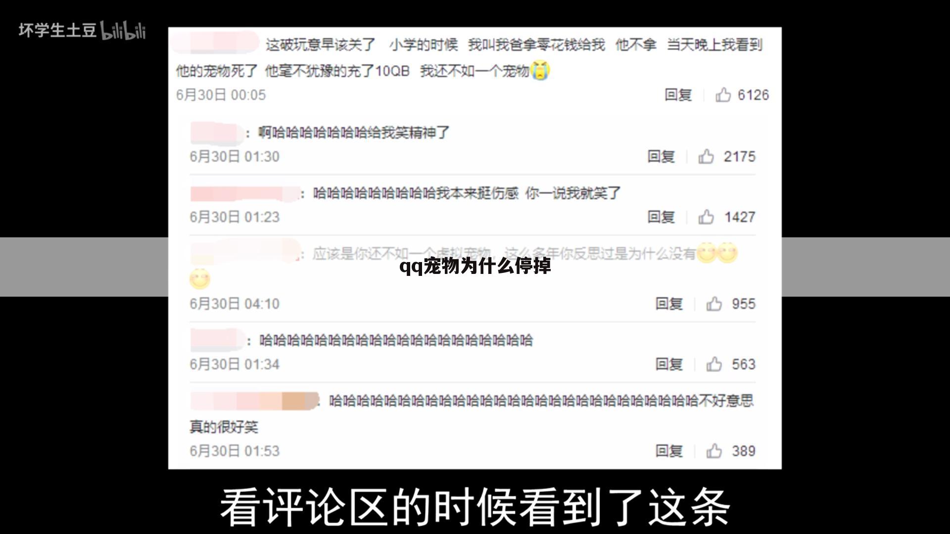 qq宠物为什么停掉