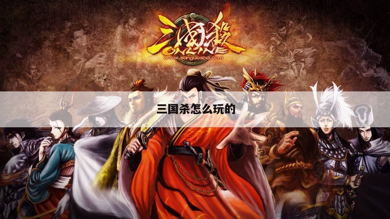 三国杀怎么玩的