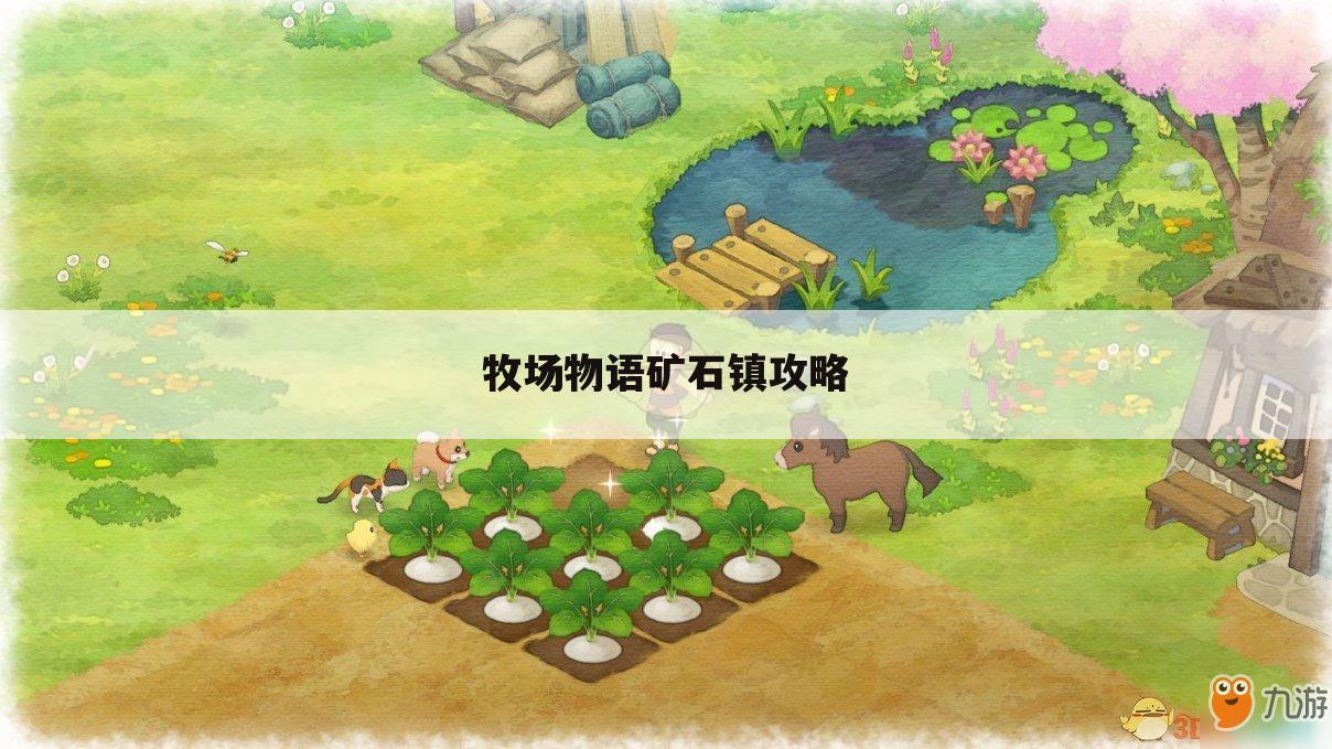牧场物语矿石镇攻略