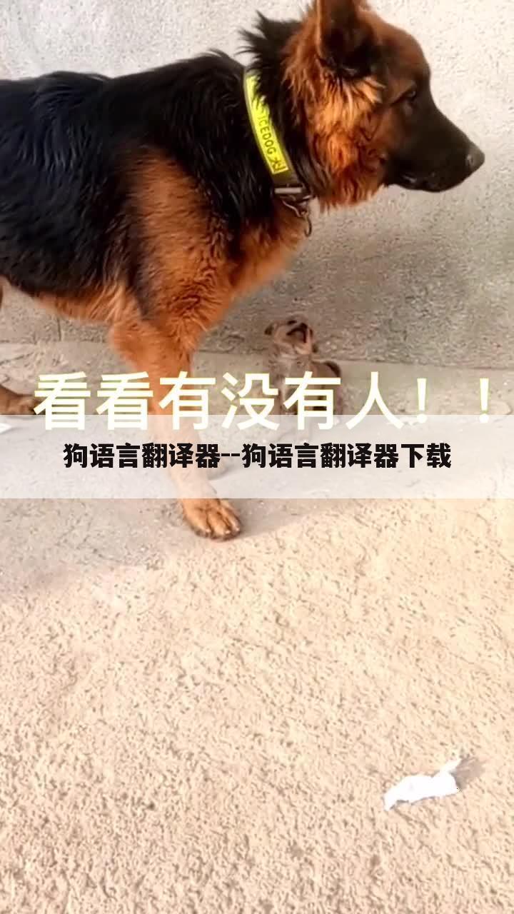 狗语言翻译器--狗语言翻译器下载