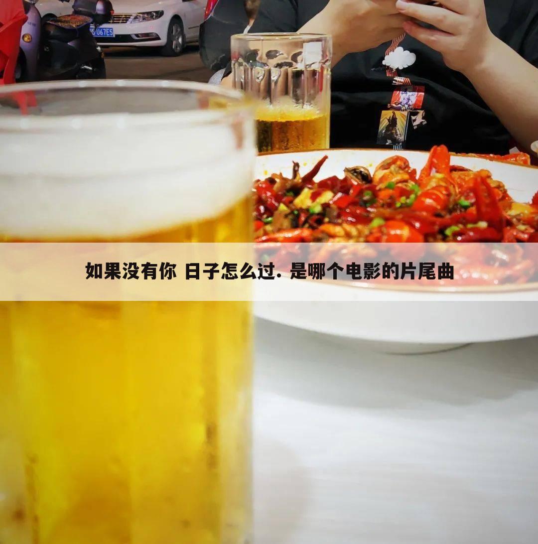如果没有你 日子怎么过. 是哪个电影的片尾曲