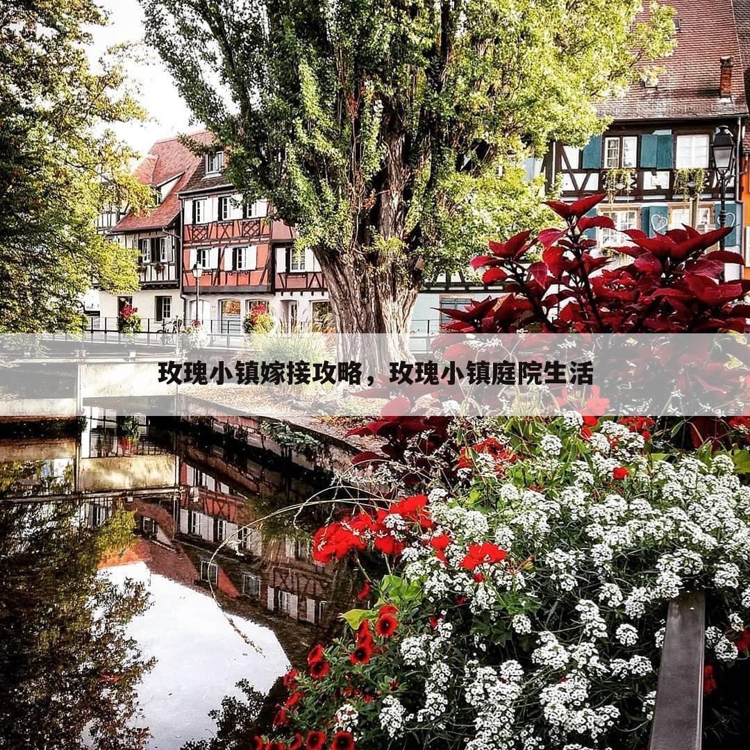 玫瑰小镇嫁接攻略，玫瑰小镇庭院生活