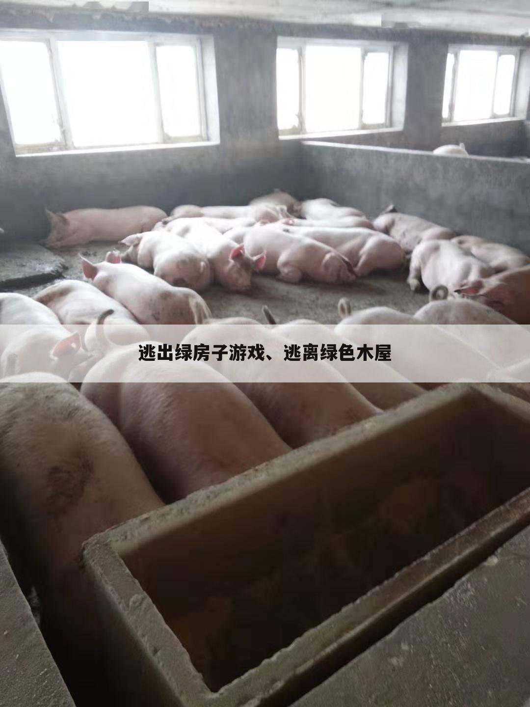 逃出绿房子游戏、逃离绿色木屋