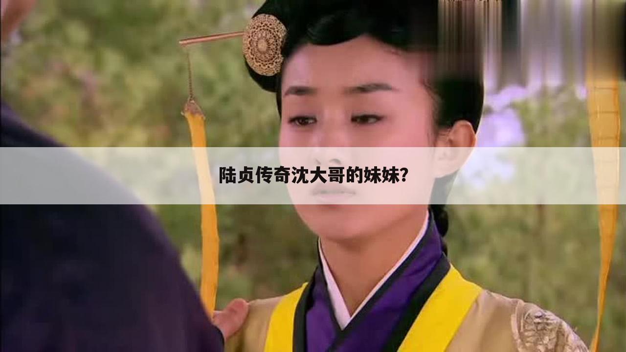 陆贞传奇沈大哥的妹妹?