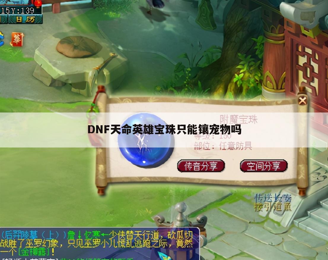 DNF天命英雄宝珠只能镶宠物吗