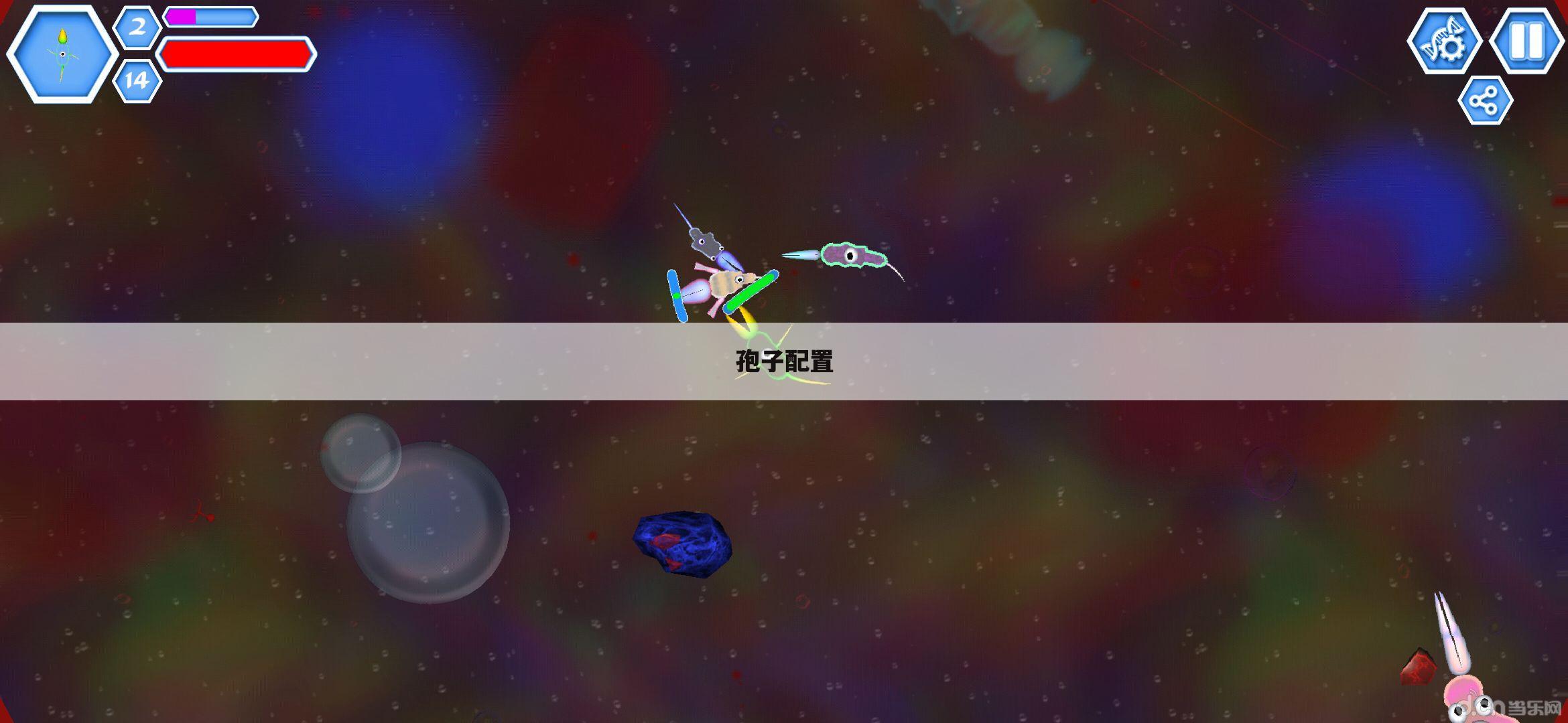孢子配置