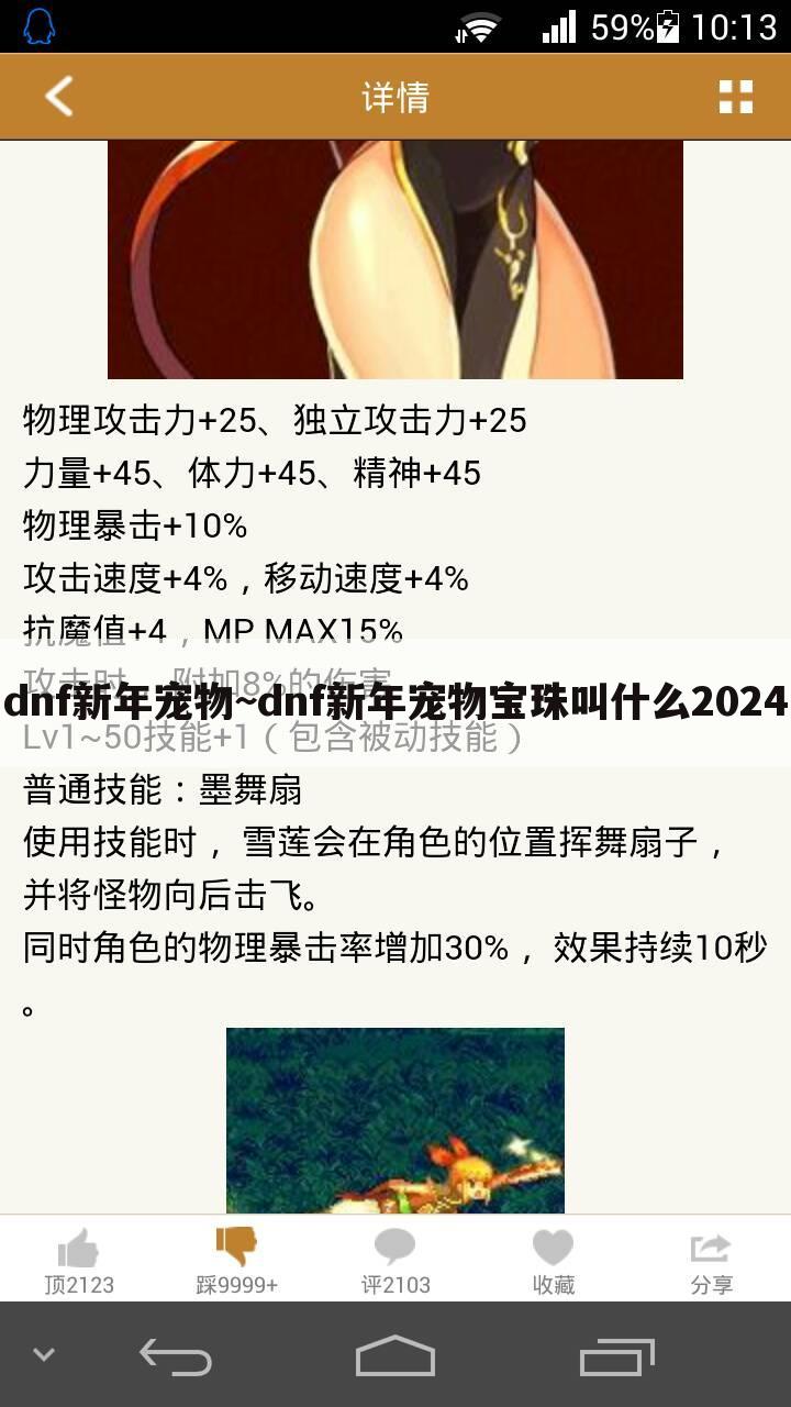 dnf新年宠物~dnf新年宠物宝珠叫什么2024