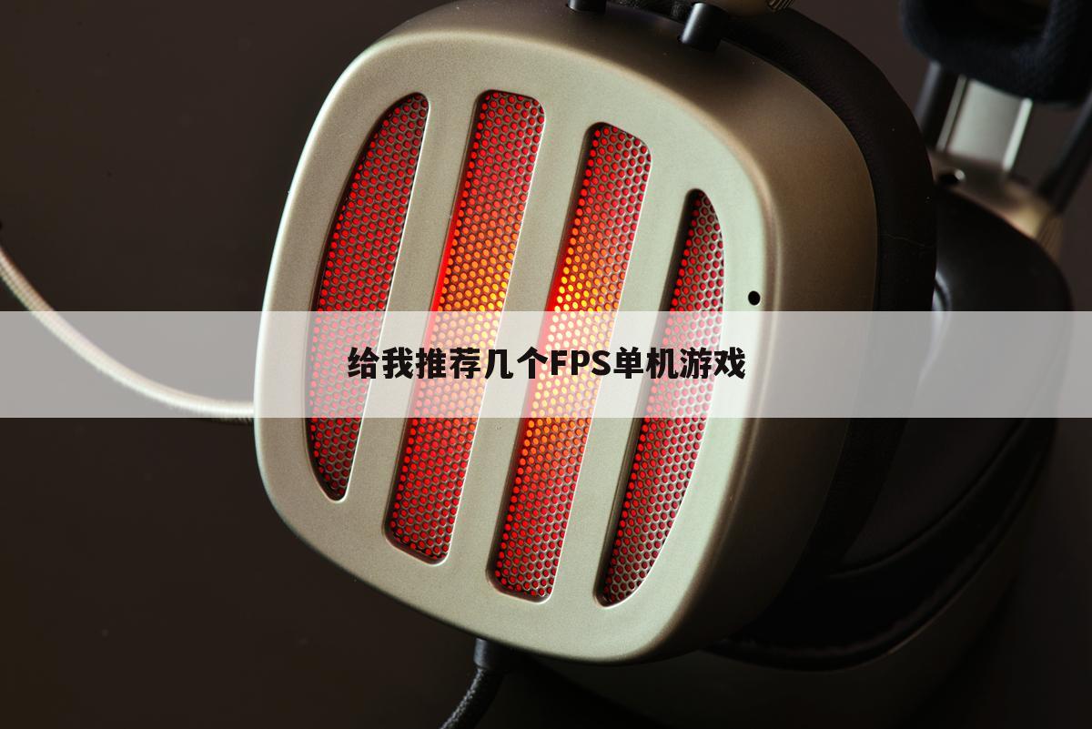 给我推荐几个FPS单机游戏