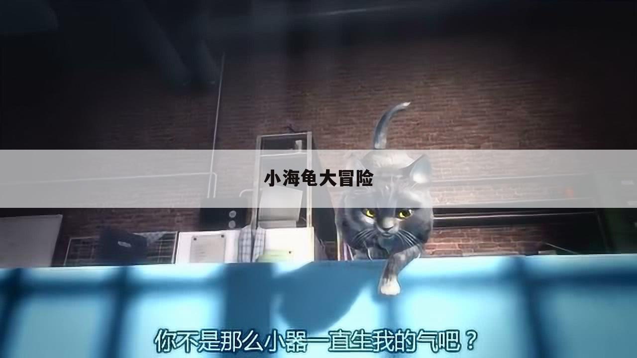 小海龟大冒险