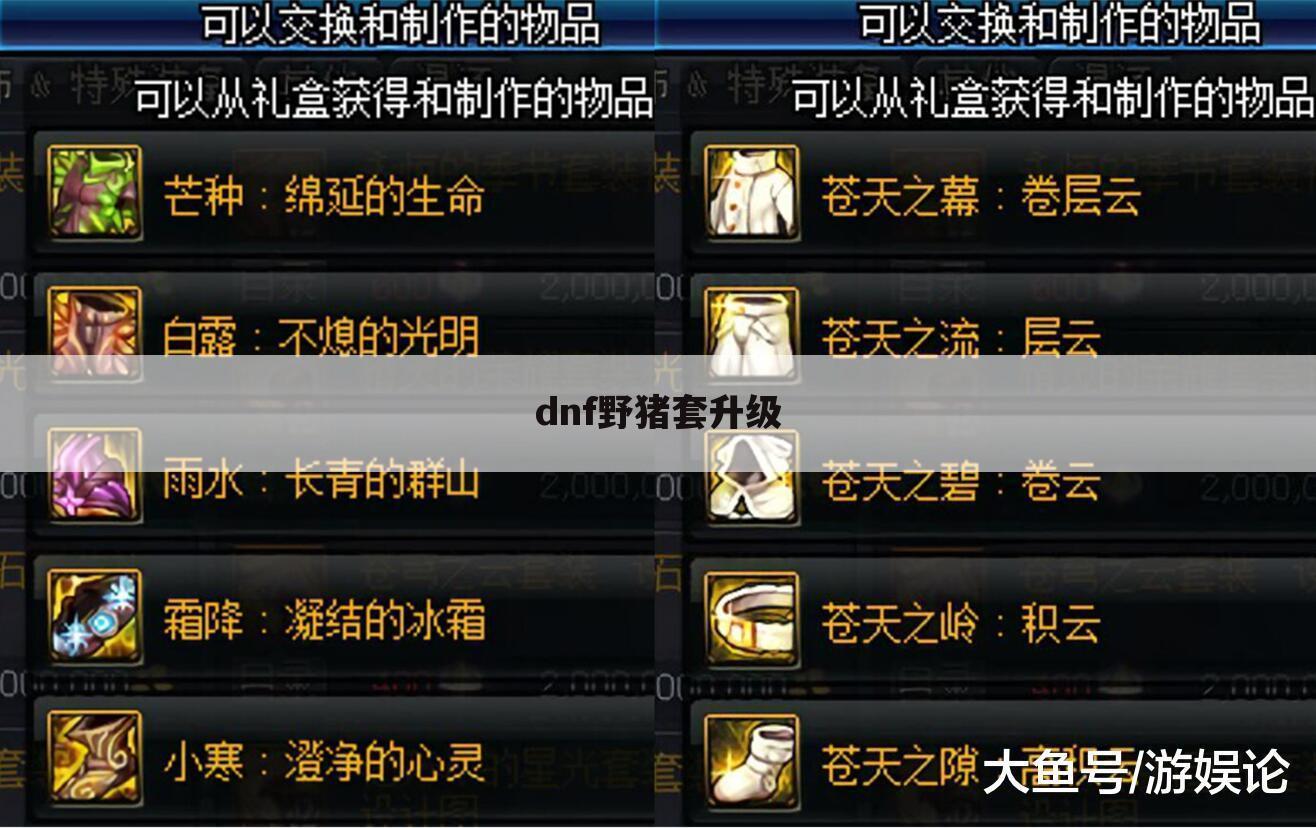 dnf野猪套升级