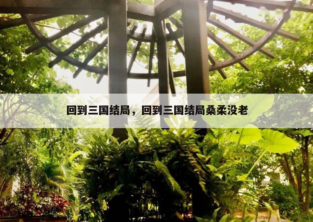 回到三国结局，回到三国结局桑柔没老