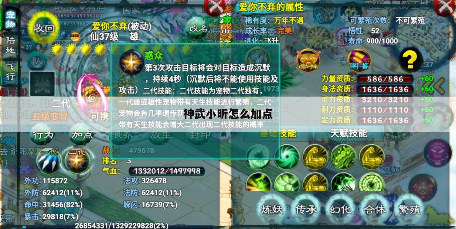神武小昕怎么加点
