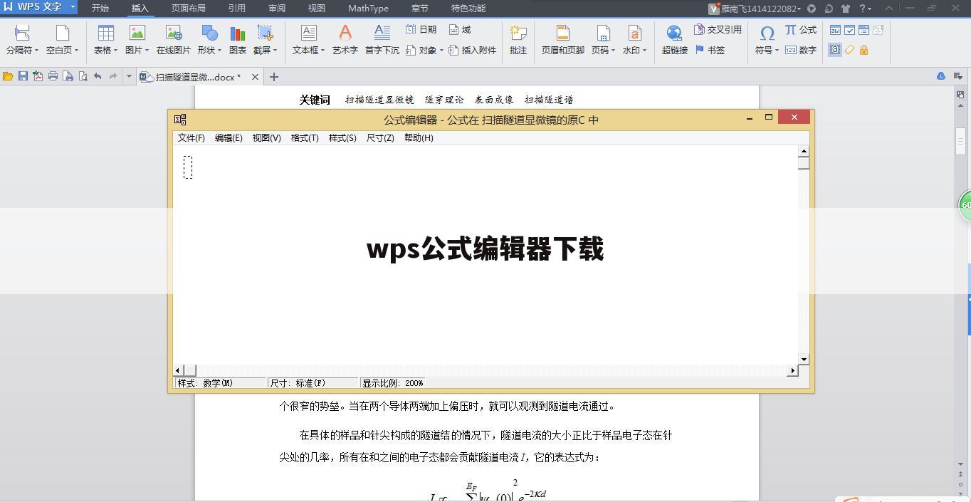 wps公式编辑器下载