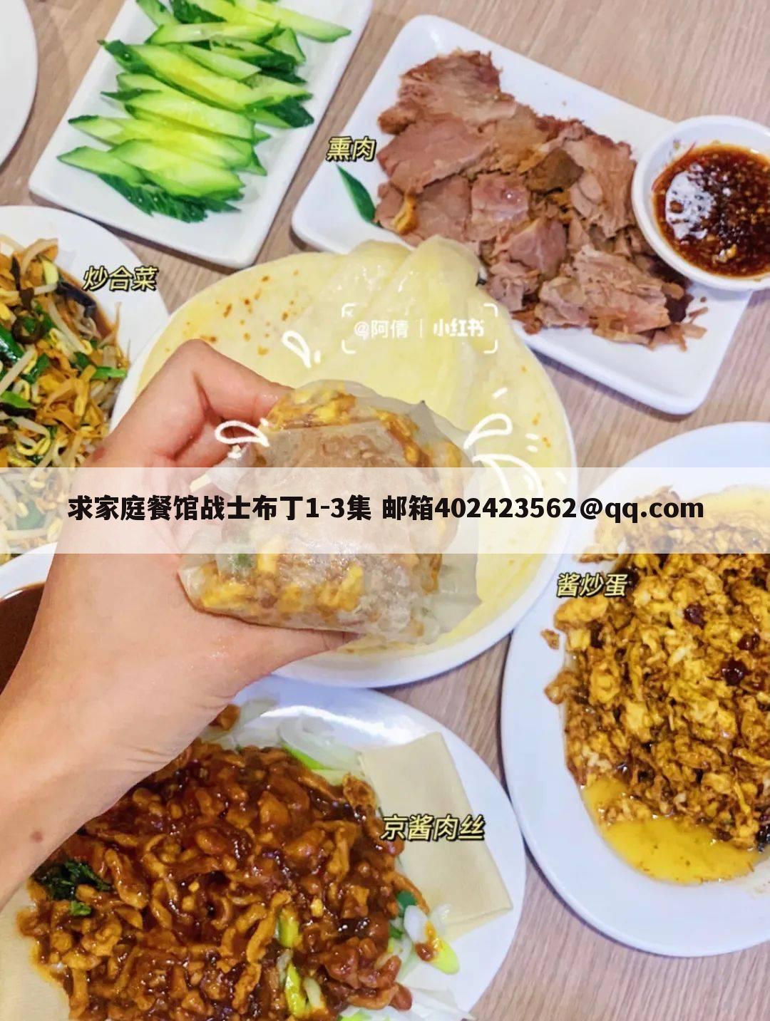 求家庭餐馆战士布丁1-3集 邮箱402423562@qq.com