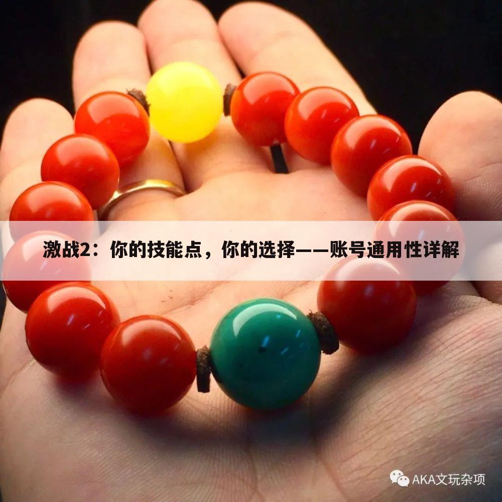 激战2：你的技能点，你的选择——账号通用性详解