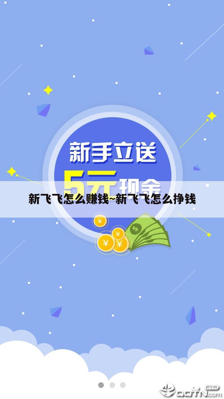 新飞飞怎么赚钱~新飞飞怎么挣钱