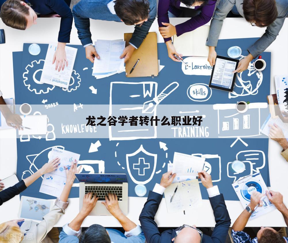 龙之谷学者转什么职业好