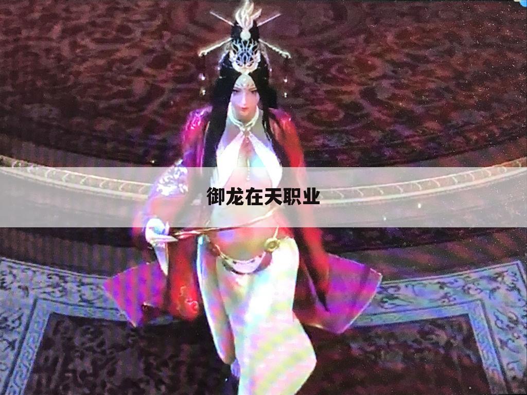 御龙在天职业