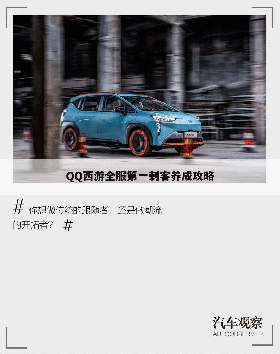 QQ西游全服第一刺客养成攻略