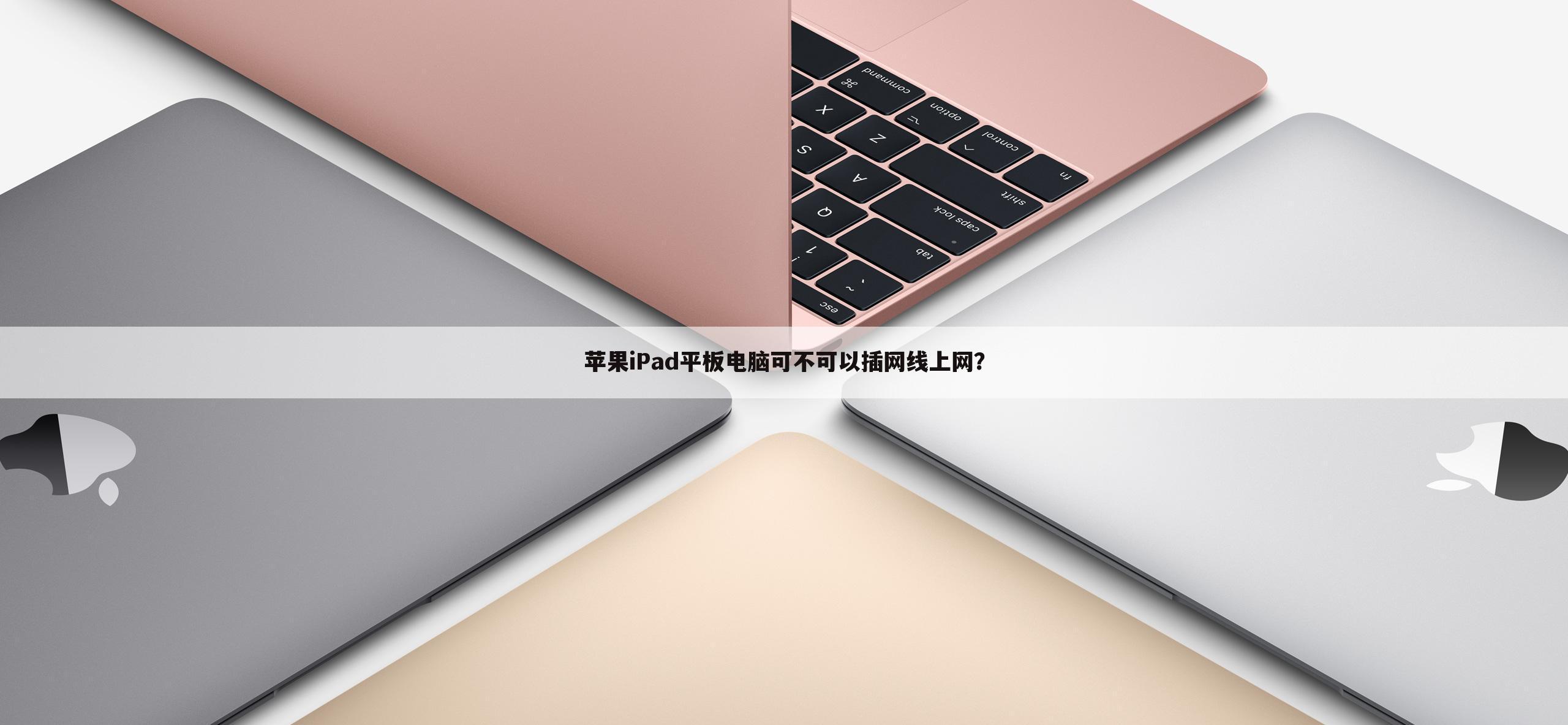 苹果iPad平板电脑可不可以插网线上网?