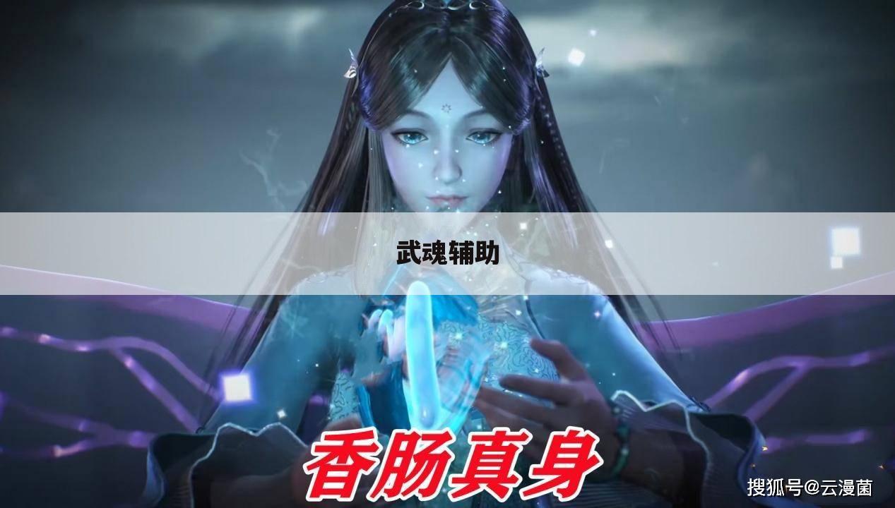 武魂辅助