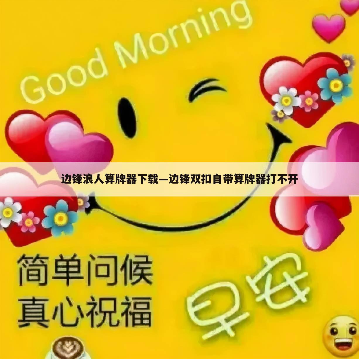 边锋浪人算牌器下载—边锋双扣自带算牌器打不开