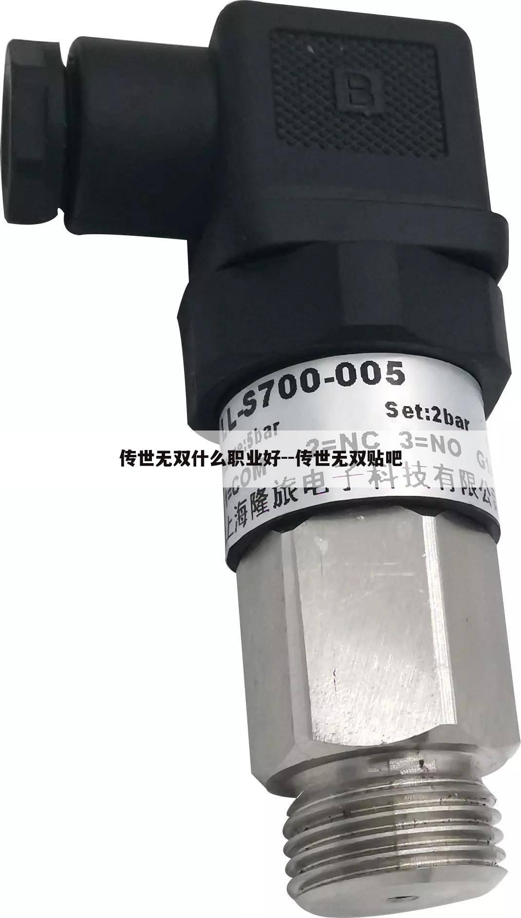 传世无双什么职业好--传世无双贴吧