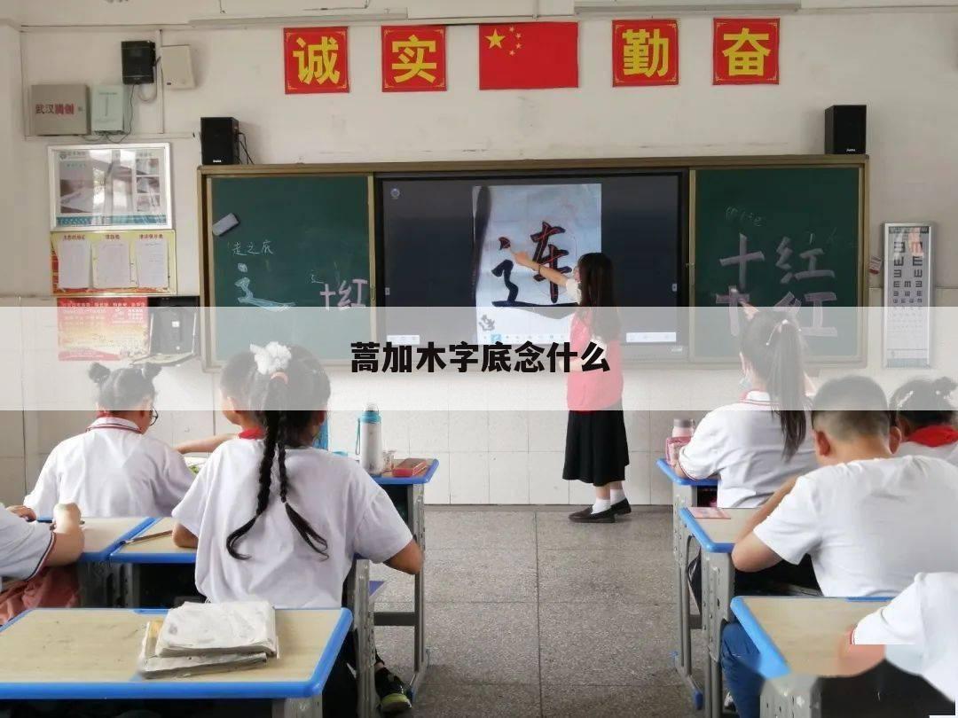 蒿加木字底念什么